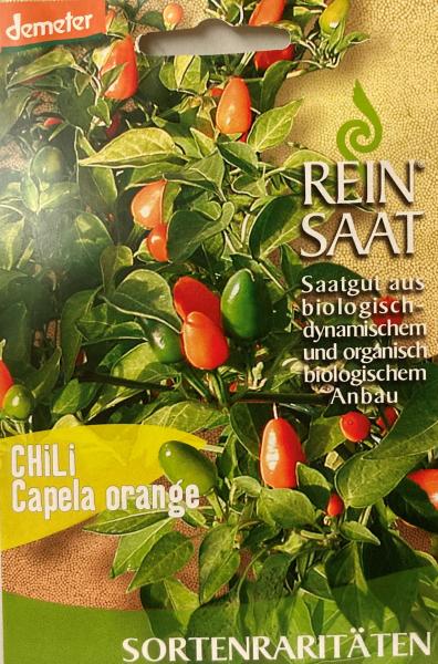 Chili Capella orange - ReinSaat Saatgut - Demeter aus biologischem Anbau